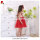 Kid girl summer red chiffon embroideried dress